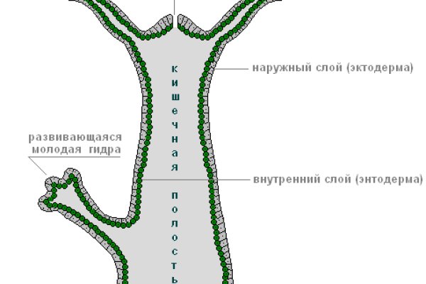 Кракен сайт как выглядит