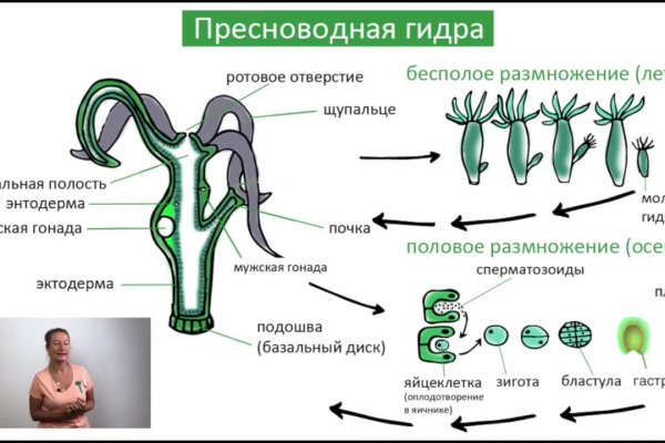 Ссылка кракен официальная тор