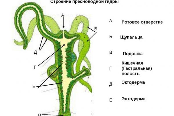 Кракен макет даркнет