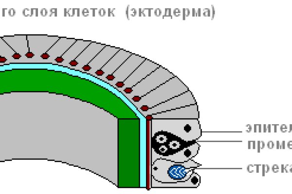 Зеркало кракен