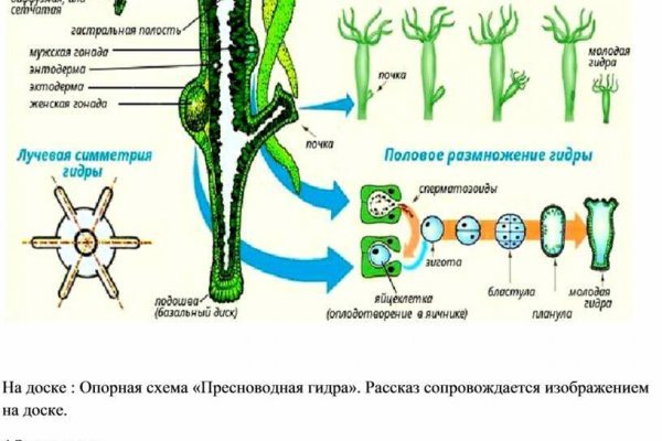 Сайт кракен через тор