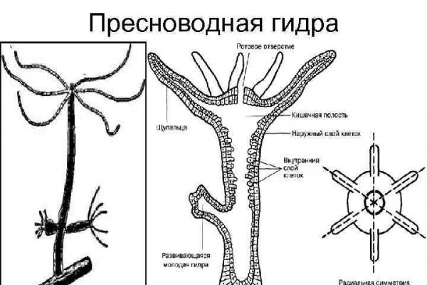 Кракен площадка даркнет